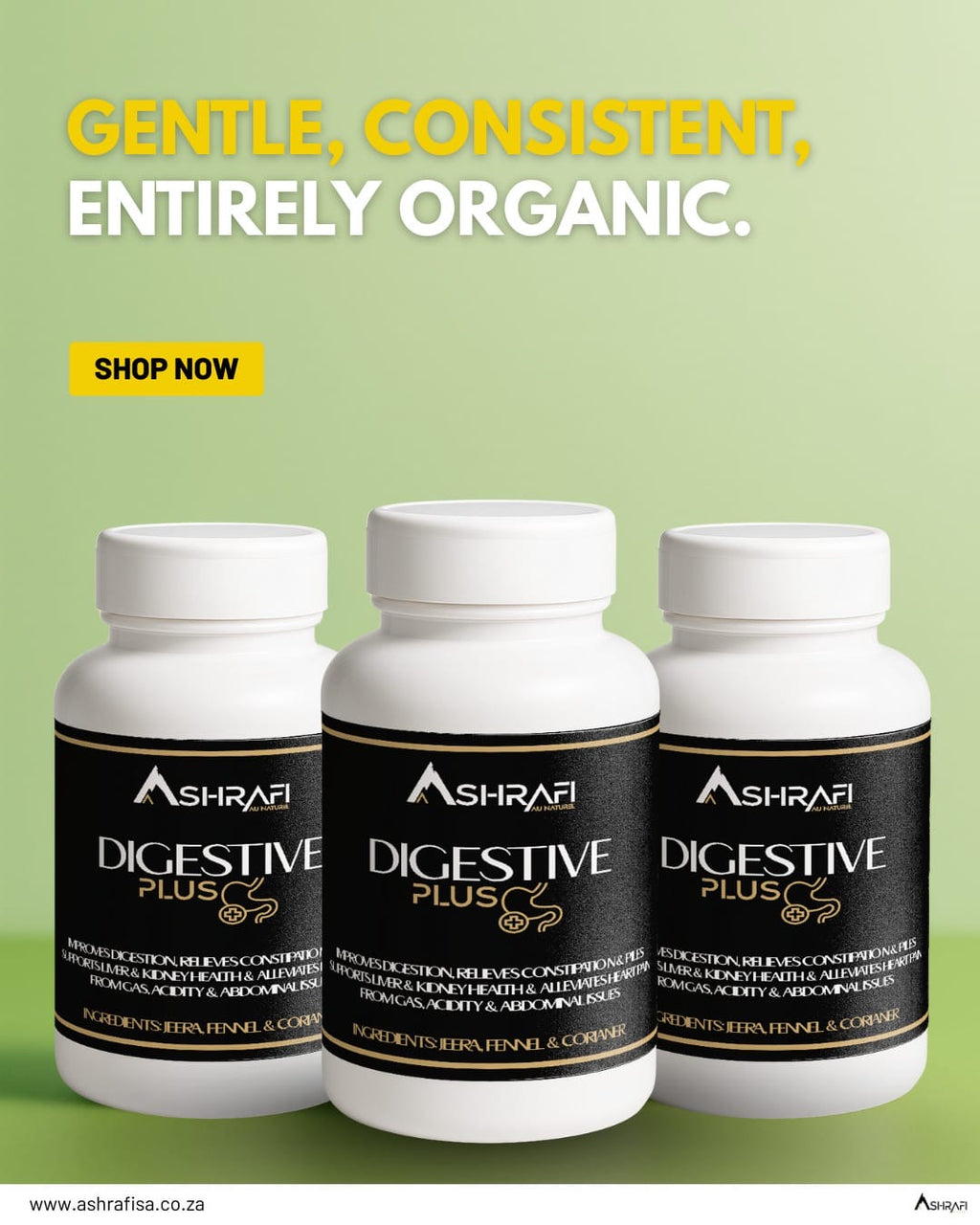 Ashrafi Digestive Plus — Herbal Digestive Support & Gut Balance (70 capsules)