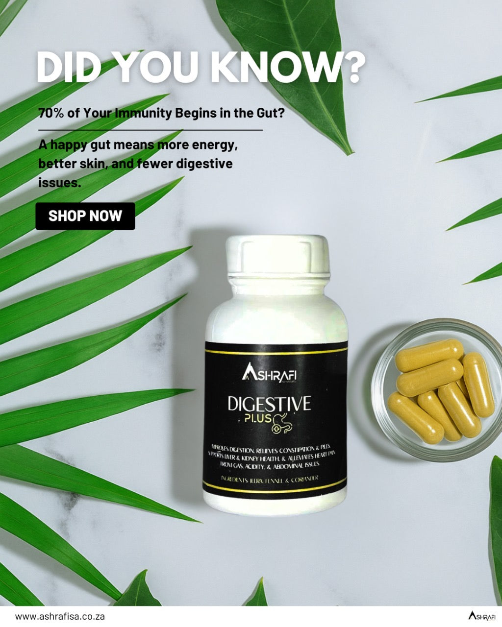 Ashrafi Digestive Plus — Herbal Digestive Support & Gut Balance (70 capsules)