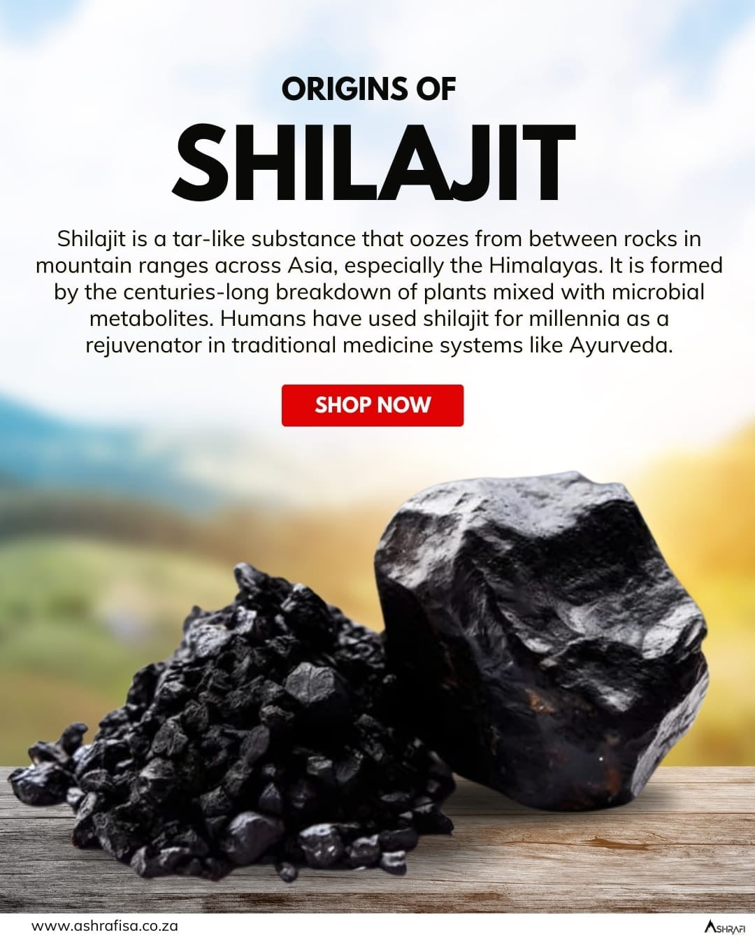 Ashrafi Pure Shilajit Resin 5g